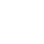 Logo BrSpices