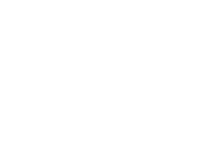Santos Brasil site